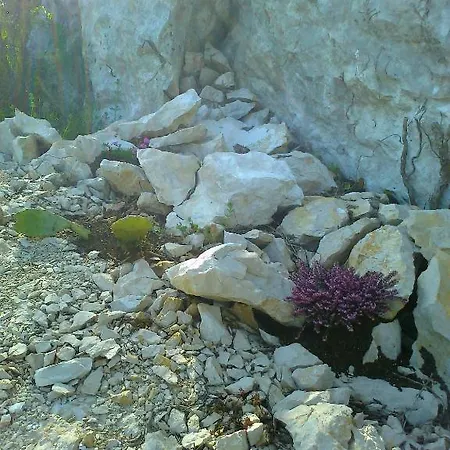 Pensión Pansion Rajic Međugorje