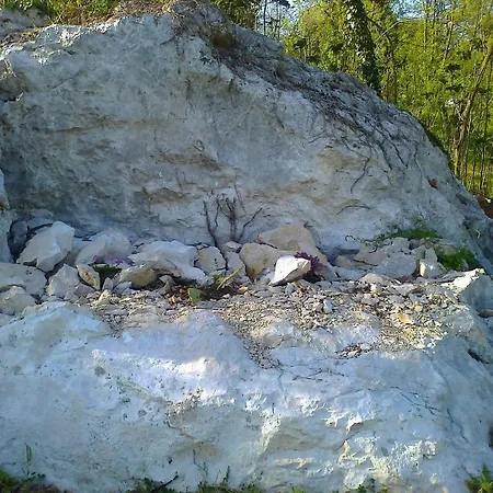 Pansion Rajic 3*
